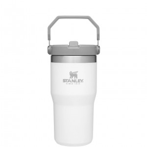 Stanley The IceFlow Flip Straw Tumbler | 20 OZ | Insulated Water Tumbler | Sta Polar | 701546EAQ