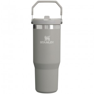 Stanley The IceFlow Flip Straw Tumbler | 30 OZ | Insulated Water Ash | 125876ZHQ