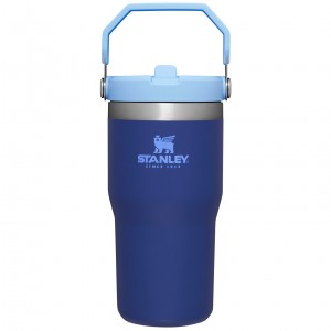 Stanley The IceFlow Flip Straw Tumbler | 20 OZ | Insulated Water Tumbler | Sta Lapis | 564139GOB