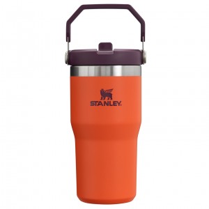 Stanley The IceFlow Flip Straw Tumbler | 20 OZ | Insulated D'eau Bottle Tigerlily Plum | 182459YGJ