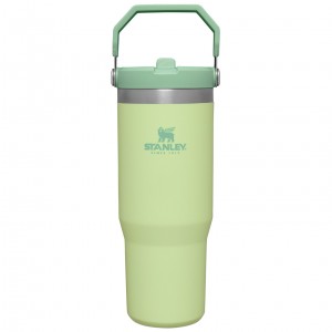 Stanley The IceFlow Flip Straw Tumbler | 30 OZ | Insulated Water Citron | 937208EWO