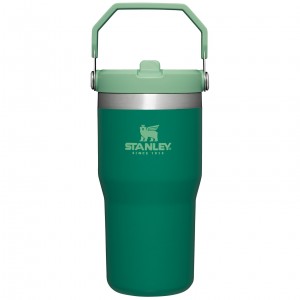 Stanley The IceFlow Flip Straw Tumbler | 20 OZ | Insulated Water Tumbler | Sta Alpine | 321768CPK