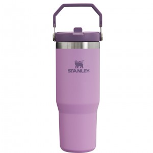 Stanley The IceFlow Flip Straw Tumbler | 30 OZ | Insulated Water Lilac | 034815JFI