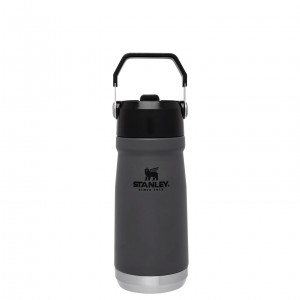 Stanley The IceFlow Flip Straw Water Bottle | 17 OZ | Insulated Bottle | Stanl Charcoal | 152406HPN