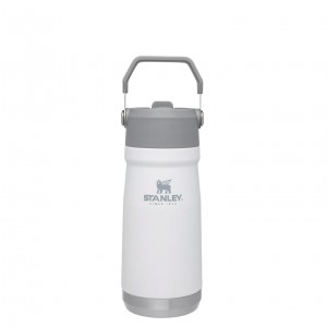 Stanley The IceFlow Flip Straw Water Bottle | 17 OZ | Insulated Bottle | Stanl Polar | 415032HDK