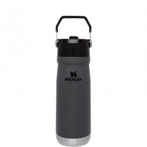 Stanley The IceFlow Flip Straw Water Bottle | 22 OZ | Insulated Bottle | Stanl Charcoal | 394056YEH