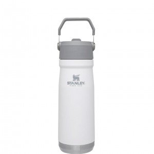 Stanley The IceFlow Flip Straw Water Bottle | 22 OZ | Insulated Bottle | Stanl Polar | 209137RBG