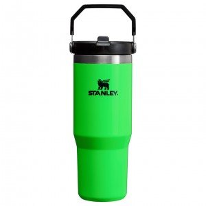 Stanley The Neon IceFlow™ Flip Straw Tumbler | 30 OZ - Stanley Create Vert | 593472FTU