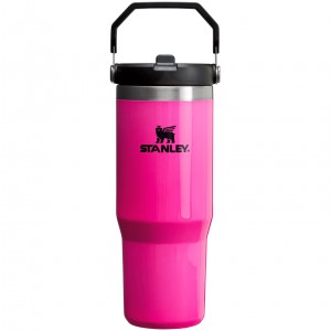 Stanley The Neon IceFlow™ Flip Straw Tumbler | 30 OZ - Stanley Create Rose | 631897NAP