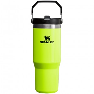 Stanley The Neon IceFlow™ Flip Straw Tumbler | 30 OZ Jaune | 697415DZT