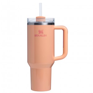 Stanley The Quencher H2.0 FlowState™ Tumbler | 40 OZ Bellini Shimmer | 016725CPL