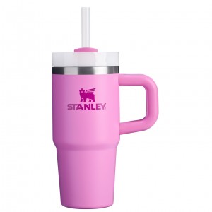 Stanley The Quencher H2.O FlowState™ Tumbler with Handle & Straw | 14 OZ Peony | 271485AIB