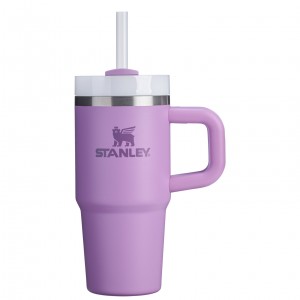 Stanley The Quencher H2.O FlowState™ Tumbler with Handle & Straw | 14 OZ Lilac | 491387FMD