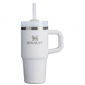 Stanley The Quencher H2.O FlowState™ Tumbler with Handle & Straw | 14 OZ Frost | 531960HJF