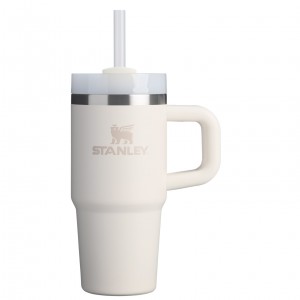 Stanley The Quencher H2.O FlowState™ Tumbler with Handle & Straw | 14 OZ Blanche | 521740FAK