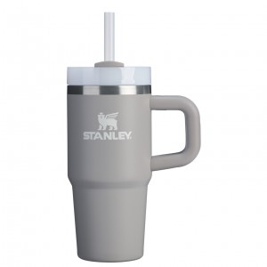 Stanley The Quencher H2.O FlowState™ Tumbler with Handle & Straw | 14 OZ Ash | 287439WTH