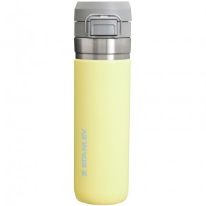 Stanley The Quick Flip Go Water Bottle | 24 OZ Pomelo | 905214VYW