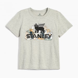 Stanley The Thirsty Women's Boxy Tee Grise | 182073GRY