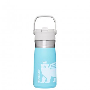 Stanley The Wild Imagination IceFlow Flip Straw Water Bottle | 17 OZ Pool Cub | 467952KMN
