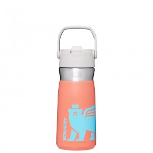 Stanley The Wild Imagination IceFlow Flip Straw Water Bottle | 17 OZ Grapefruit Cub | 928107GQP